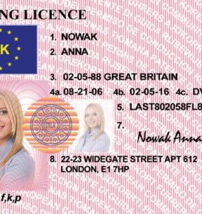 Driving Licence UK